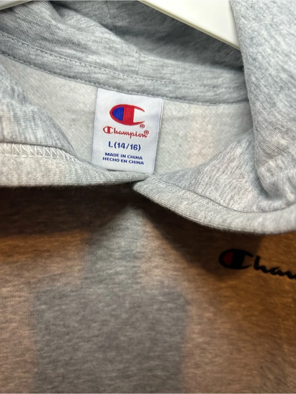 Champion Kids Gray Hooded Sweatshirt
